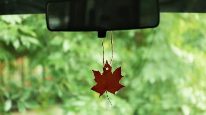 From Hanging to Sprays: Picking the Perfect Car Air Freshener